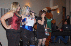 ValleyCon 37 - 2011